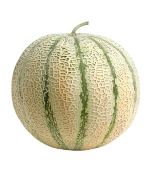 Dinja 1kg