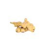 Djumbir 100G Djumbir 1Kg