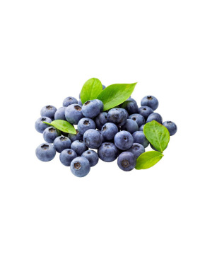 Borovnica sveža 1kg