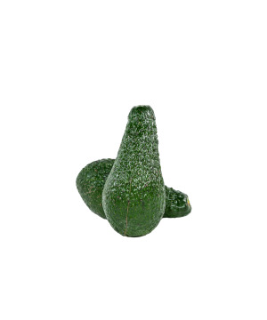 Avokado