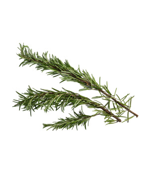 Ruzmarin 1kg