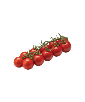 Čeri Paradajz 1kg