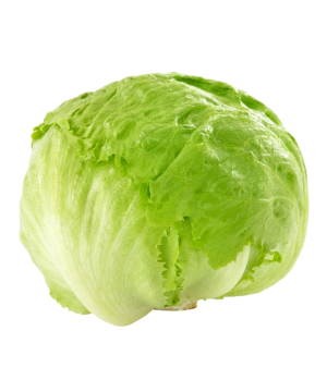 Iceberg Salata