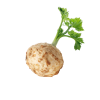 Celer 1Kg Celer Koren