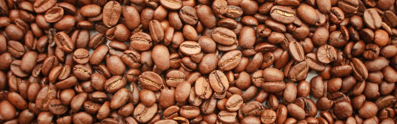 Kafa