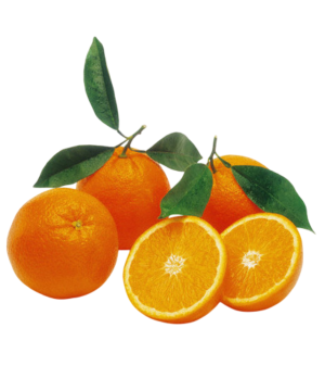 Pomorandža Egipat
