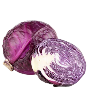 Kupus Crveni