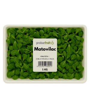 Matovilac