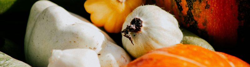 Tradicionalna Jela Balkana U Modernom Ruhu: Ajvar, Tikvice I Rakija &Amp;Ndash; Probar - Online Prodaja