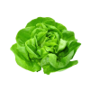 Salata Puterica 1Kg Salata Puterica 1Kg