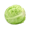 Mladi Kupus 1Kg